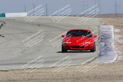 media/Feb-04-2023-Turn8 Trackdays (Sat) [[beeaee2017]]/Intermediate 1/Session 3 (Outside Grapevine)/